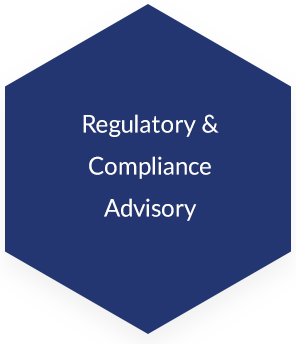 Regulatory and Compliance Advisory services
