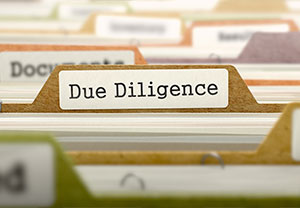 Due diligence, bid advisory, and financial services